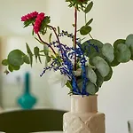 Apartantiguo Altamirano 13